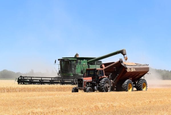 Glyphosate Legal Action