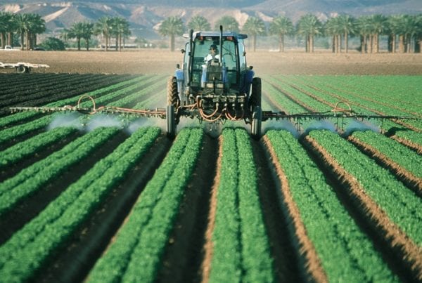 Ledger Law Roundup Cancer Attorney in CA