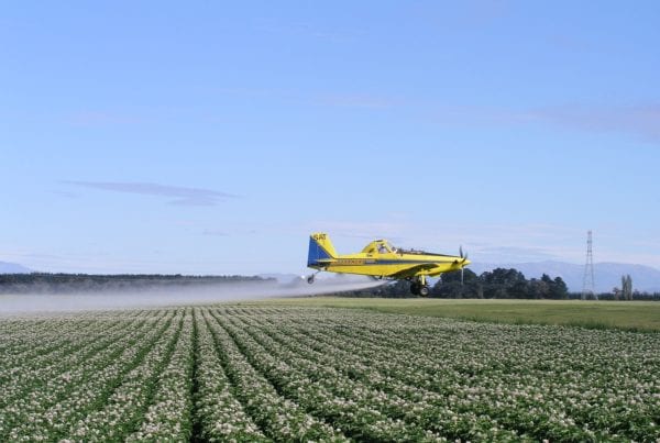 Roundup cancer attorney