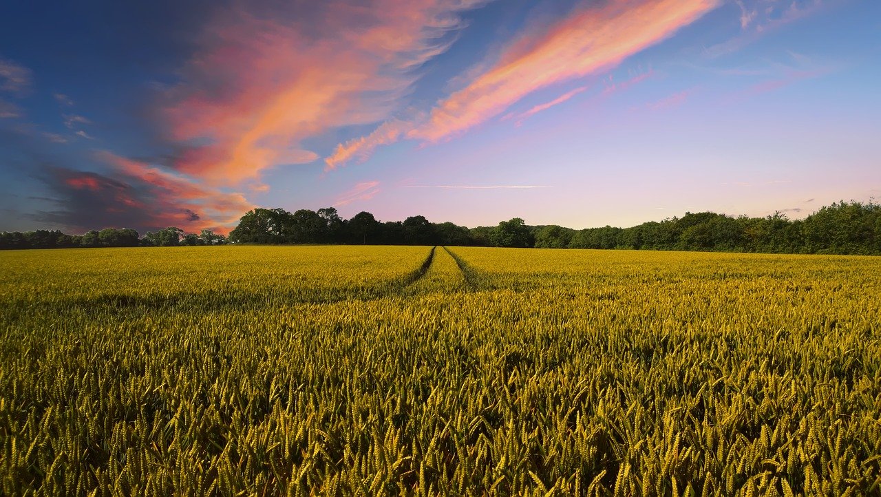 Farm Bill May Prevent Local Governments From Using Their Own Pesticide Regulations to Limit Glyphosate