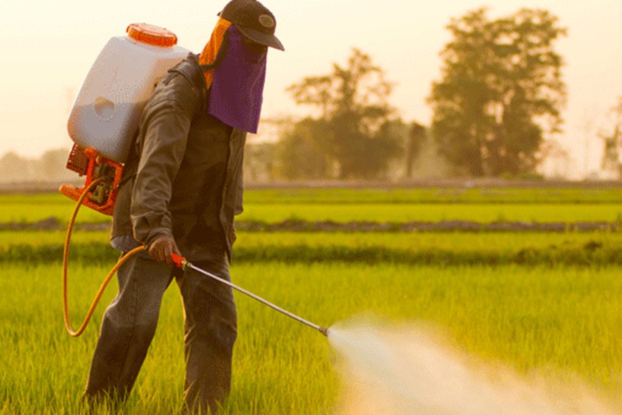 Will My Roundup Weed Killer Case Result in an Award in the Millions?
