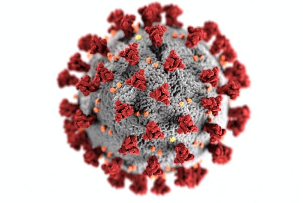 Corona virus